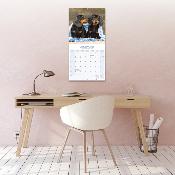 CALENDRIER 2026 - TECKEL POIL COURT