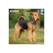 CALENDRIER 2026 - AIREDALE