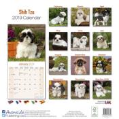 CALENDRIER 2019 - SHIH TZU