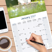 CALENDRIER 2027 - AMERICAN STAFFORDSHIRE TERRIER