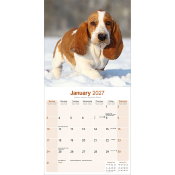 CALENDRIER 2027 - BASSET HOUND