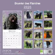 CALENDRIER 2026 - BOUVIER DES FLANDRES