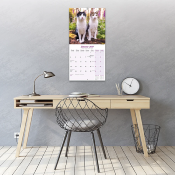 CALENDRIER 2027 - CHATS DIVERSES RACES