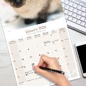 CALENDRIER 2026 - CHATS SIAMOIS toutes couleurs