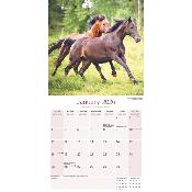 CALENDRIER 2026 - CHEVAUX