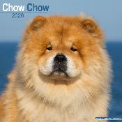 CALENDRIER 2026 - CHOW CHOW