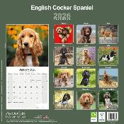 CALENDRIER 2026 - COCKER ANGLAIS