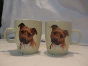 TASSE / MUG -  SENSEO - CHIEN STAFFORDHIRE TERRIER