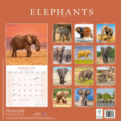 CALENDRIER 2027 - ELEPHANTS