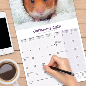 CALENDRIER 2027 - HAMSTERS
