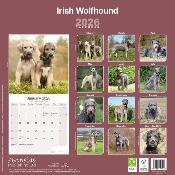 CALENDRIER 2026 - IRISH WOLFHOUND