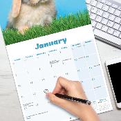 CALENDRIER 2026 - LAPINS BELIERS
