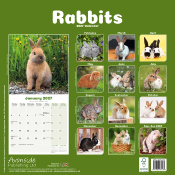 CALENDRIER 2027 - LAPINS