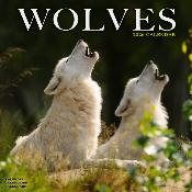 CALENDRIER 2026 - LOUPS