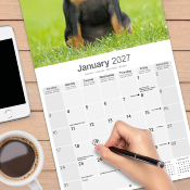 CALENDRIER 2027 - PINSCHER NAIN