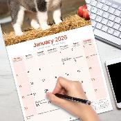 CALENDRIER 2026 - SIBERIAN HUSKY