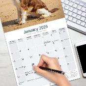 CALENDRIER 2026 - SPRINGER SPANIEL ANGLAIS
