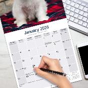 CALENDRIER 2026 - WEST HIGHLAND TERRIER