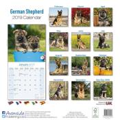 CALENDRIER 2019 - BERGER ALLEMAND