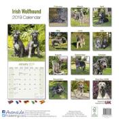 CALENDRIER 2019 - IRISH WOLFHOUND