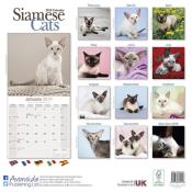 CALENDRIER 2019 - CHAT SIAMOIS