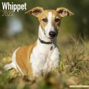 CALENDRIER 2022 - WHIPPET